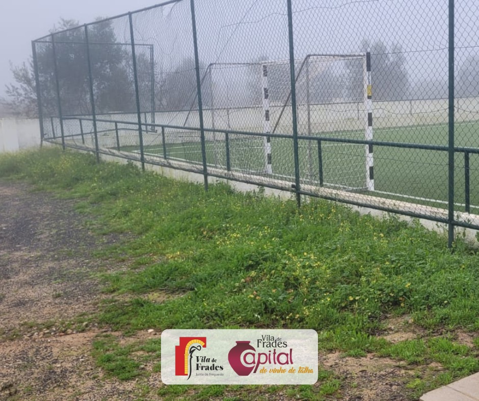 Limpeza do Campo de Jogos da Escola Fialho de Almeida