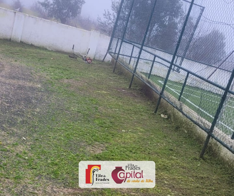 Limpeza do Campo de Jogos da Escola Fialho de Almeida