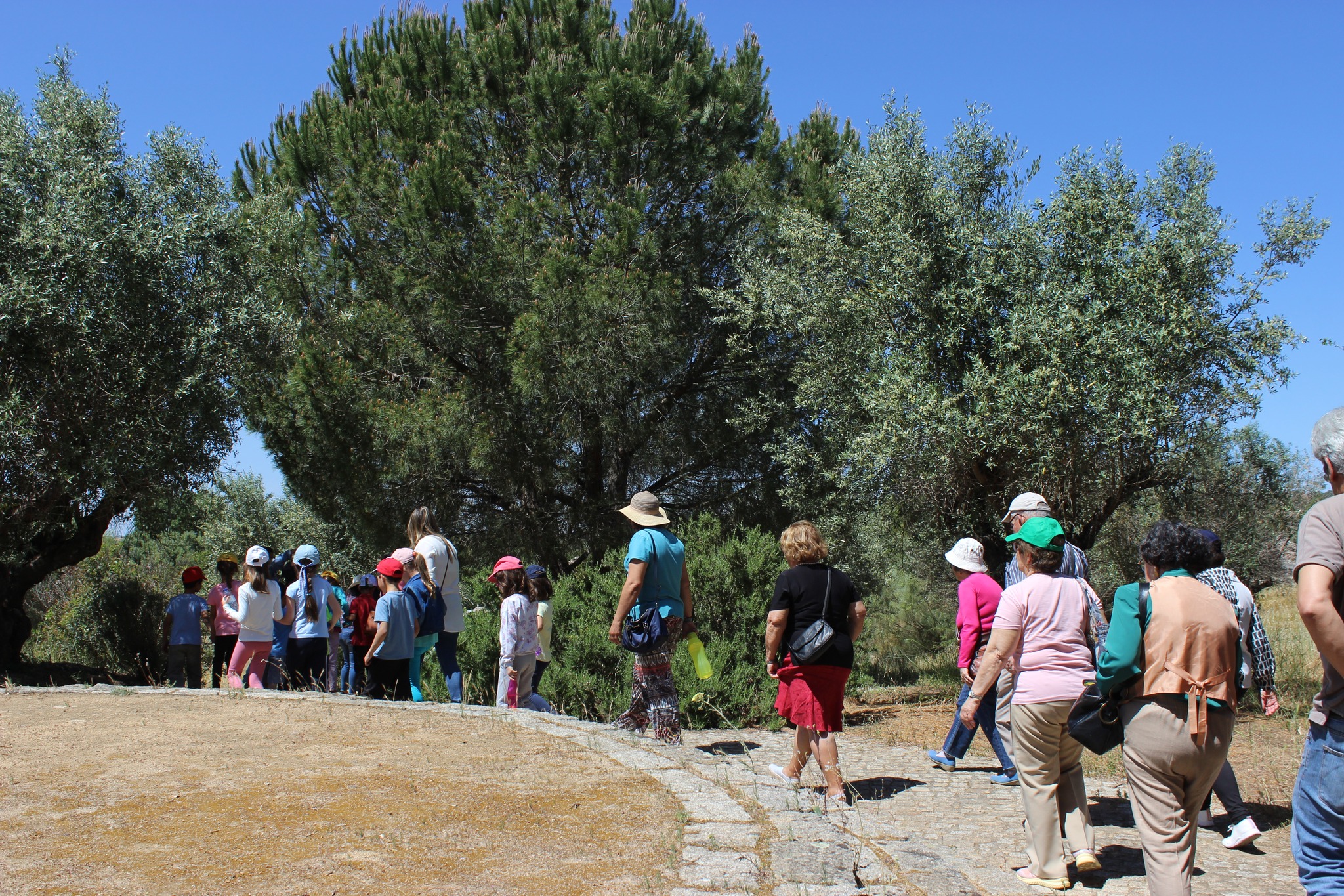 Dia Internacional dos Monumentos e Sítios - Programa