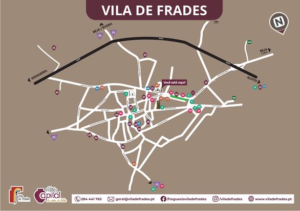 São Martinho na Capital de Vinho de Talha São Martinho na Capital de Vinho de Talha