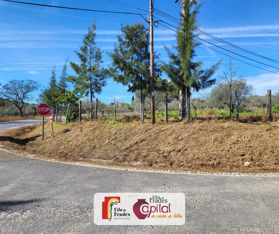 Limpeza e Manutenção das Entradas da Vila