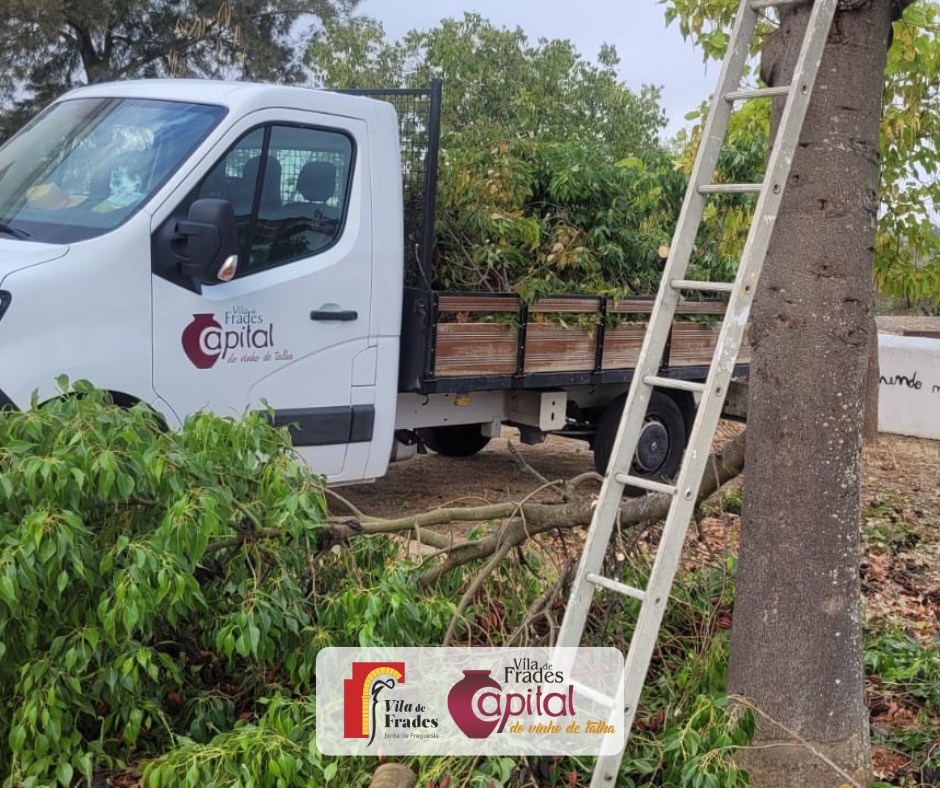Limpeza e Poda de Árvores Limpeza e Poda de Árvores