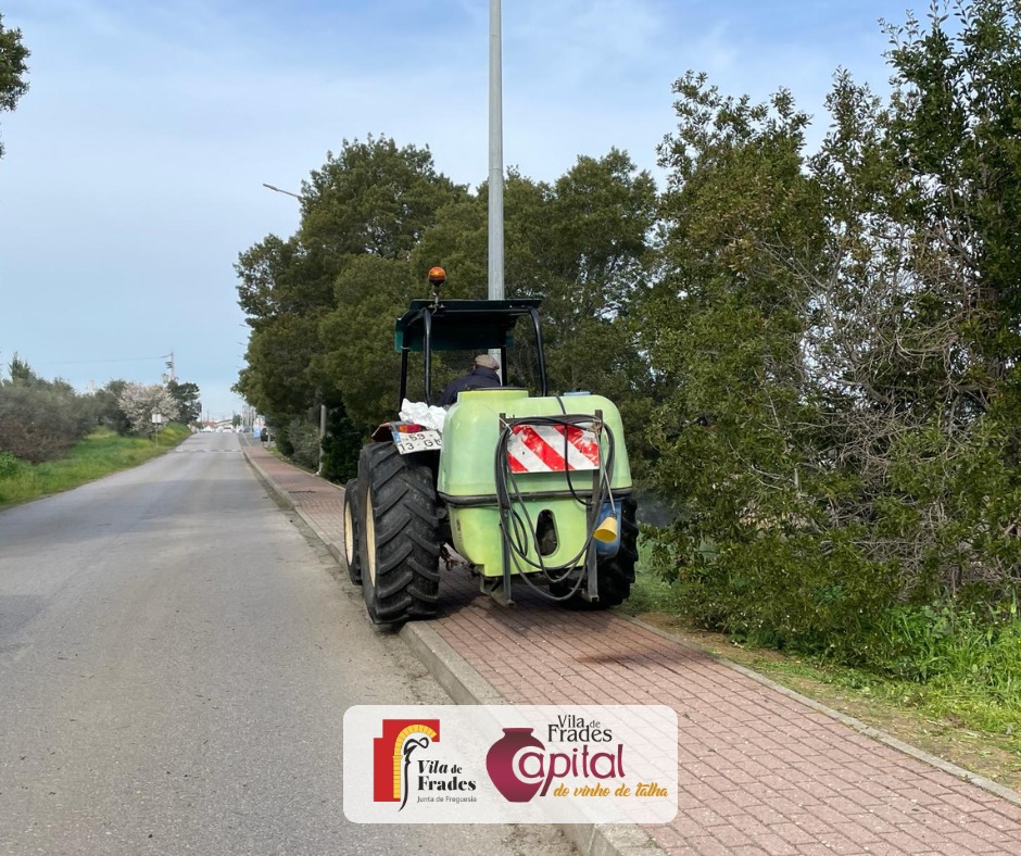 Limpeza e Manutenção da Via Pedonal