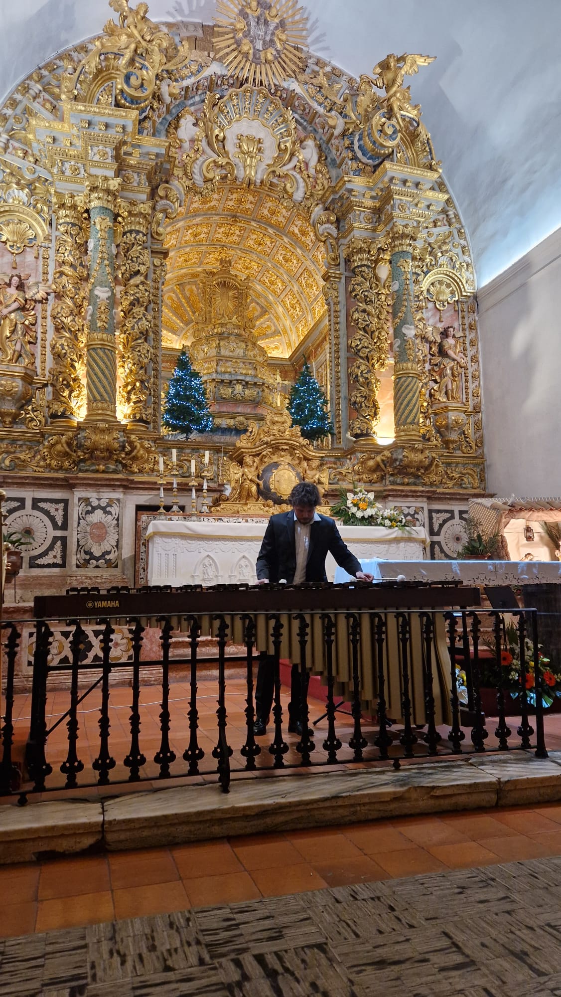 Concerto de Ano Novo: Como foi?