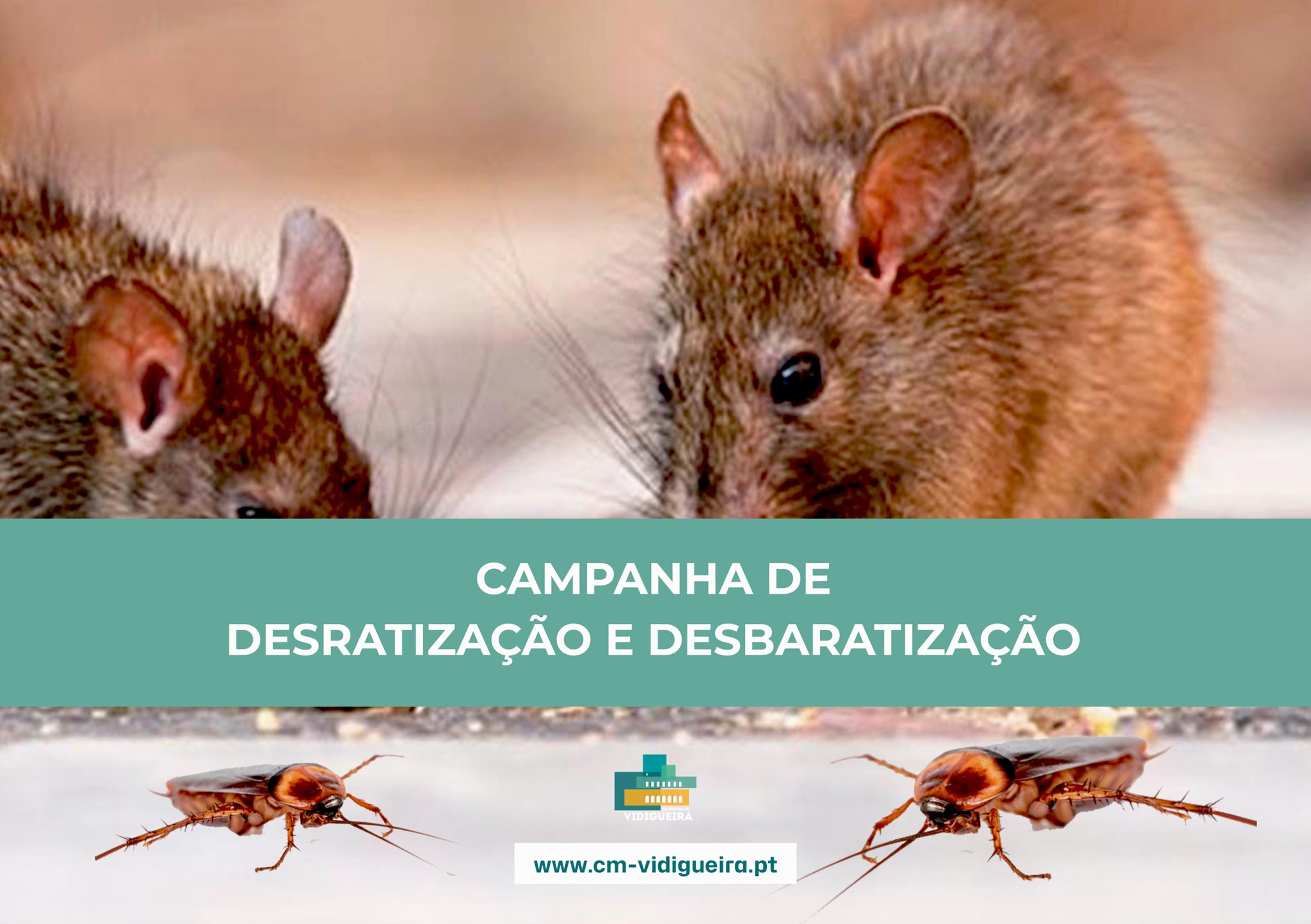 Campanha de Desratização e Desbaratização Campanha de Desratização e Desbaratização