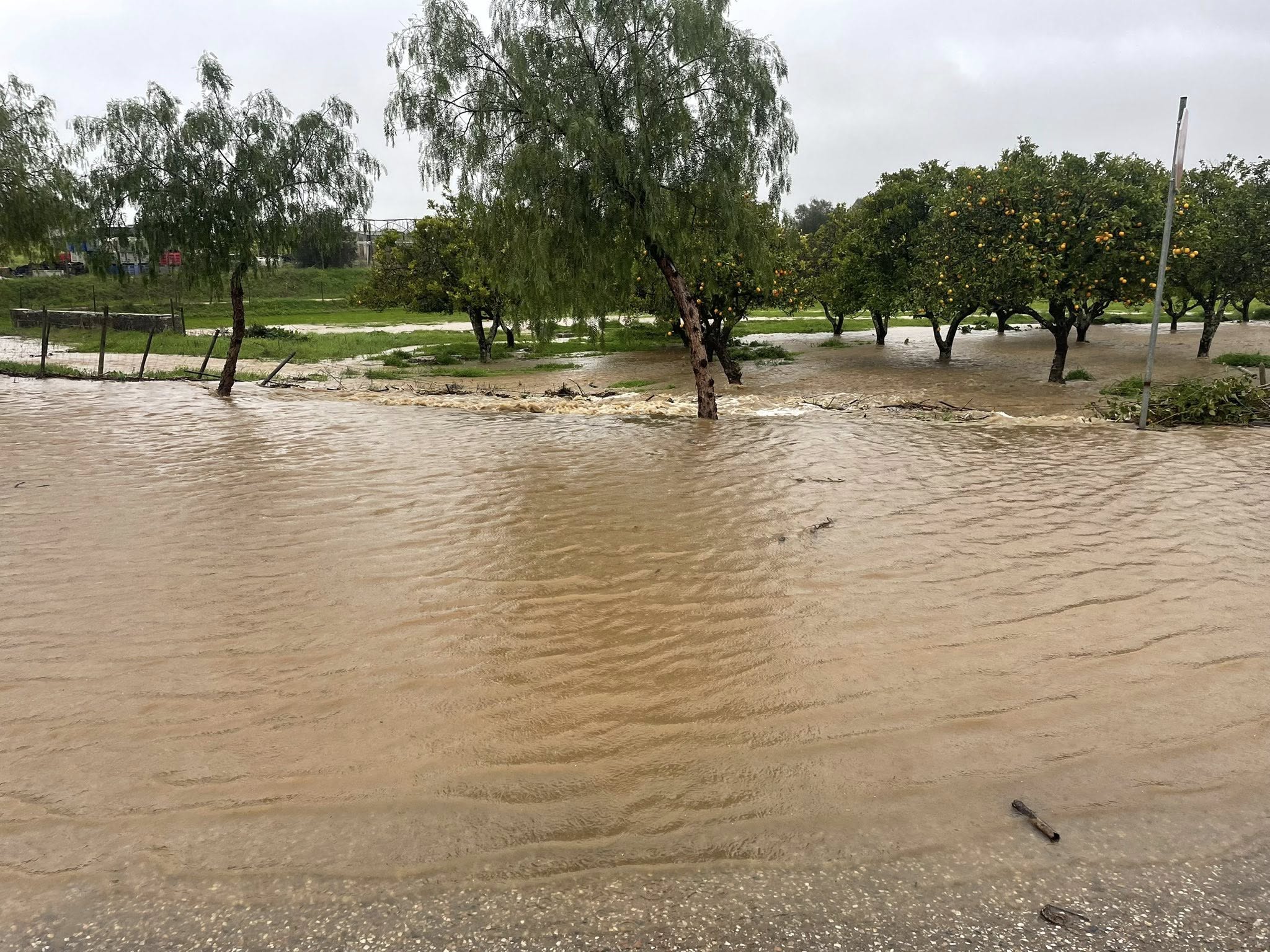 Alerta à População