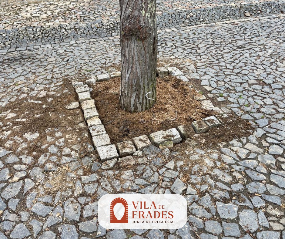 Reparação de Calçadas