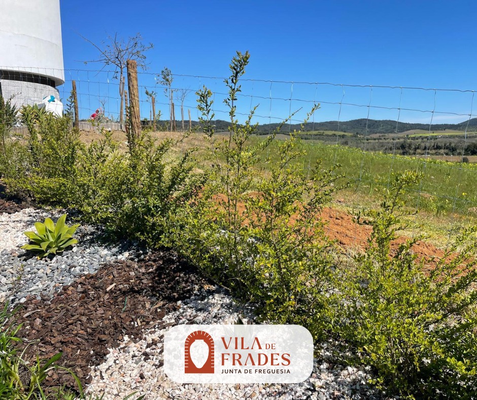 Manutenção de Espaços Verdes