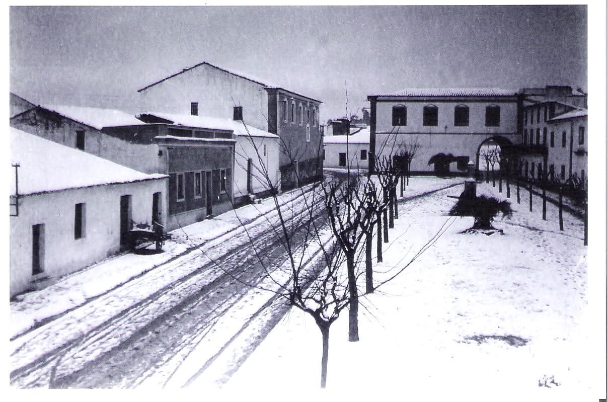 Levantamento para a Elaboração de Projeto para a Requalificação da Praça 25 de Abril